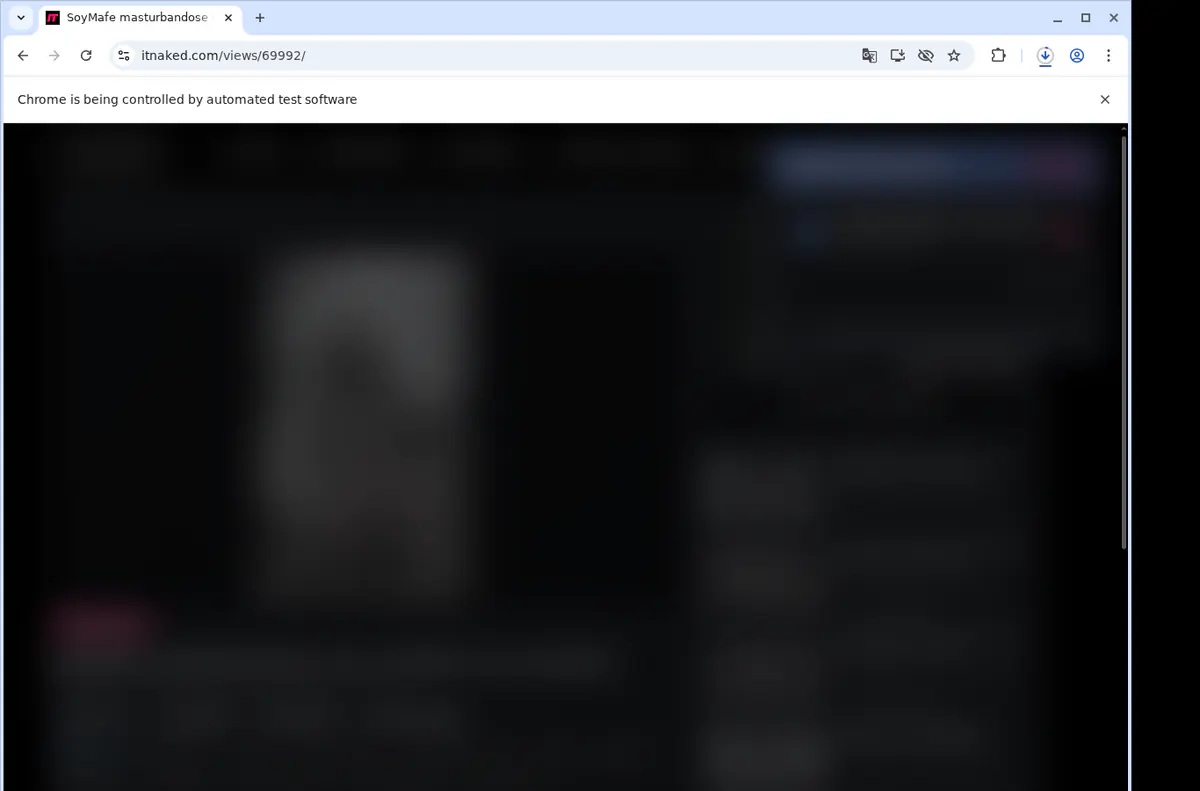 Itnaked Video Downloader screenshot 2