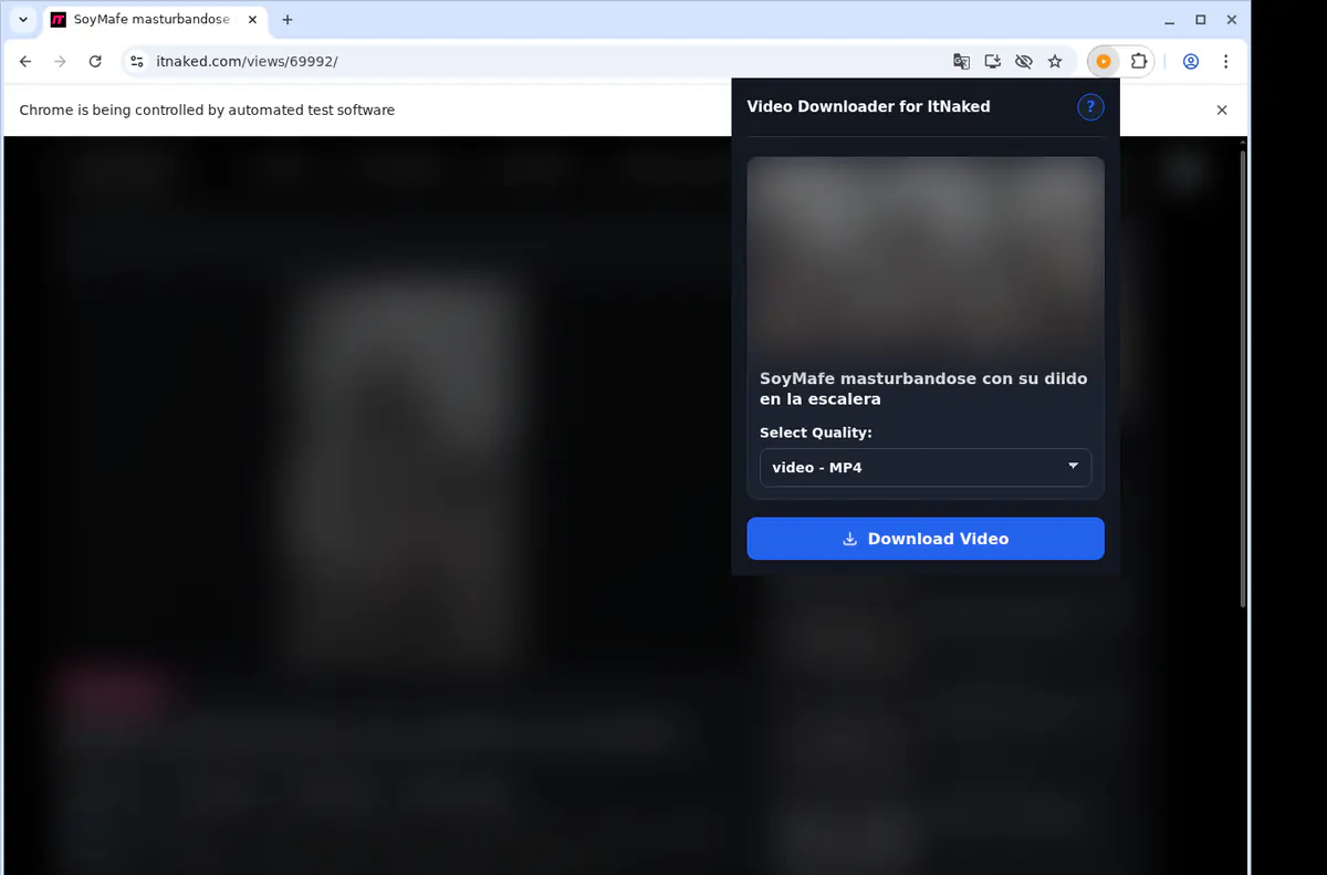 Itnaked Video Downloader screenshot 3